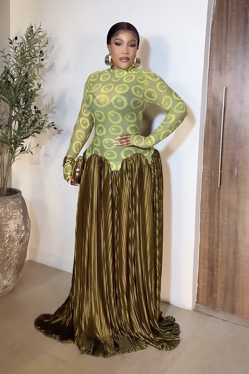 Mesh Panel Retro Pleated Maxi Dress